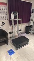 Prowave 9.00 Silber Profie Vibroplatte