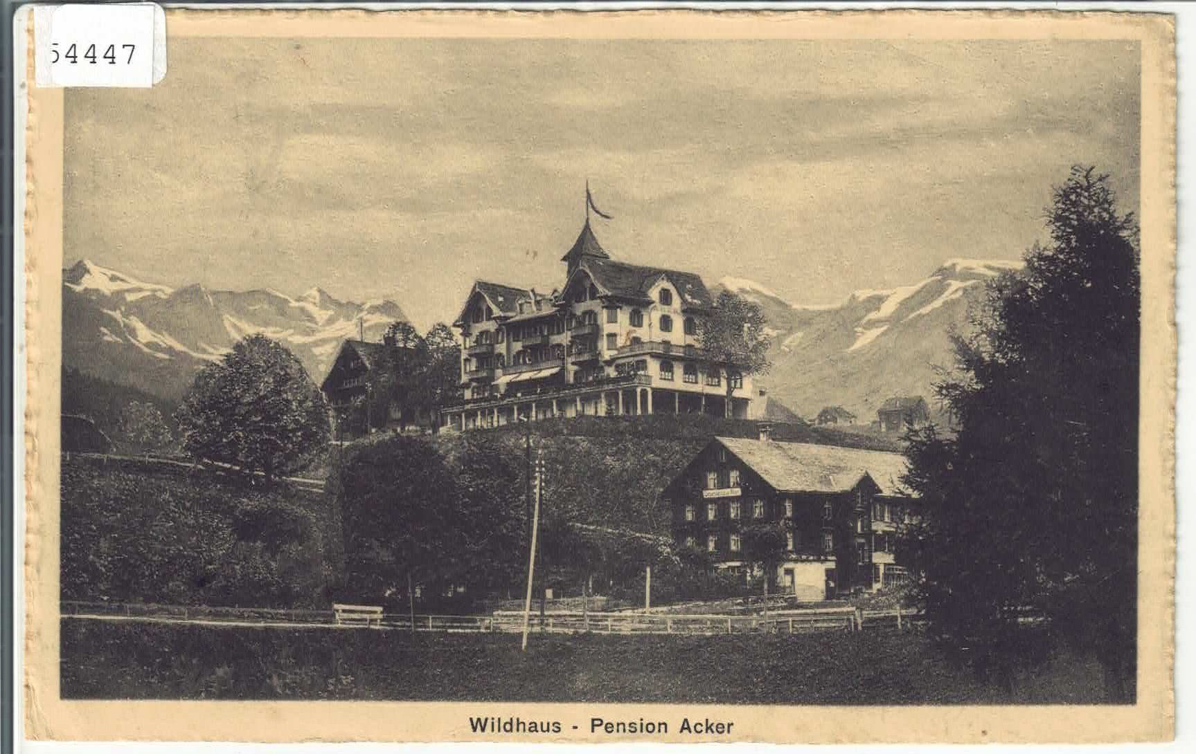 Ansichtskarten: Wildhaus - Pension Acker – Gebraucht aus Ettingen von Kartenplanet