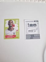 Panini Sticker ENG5