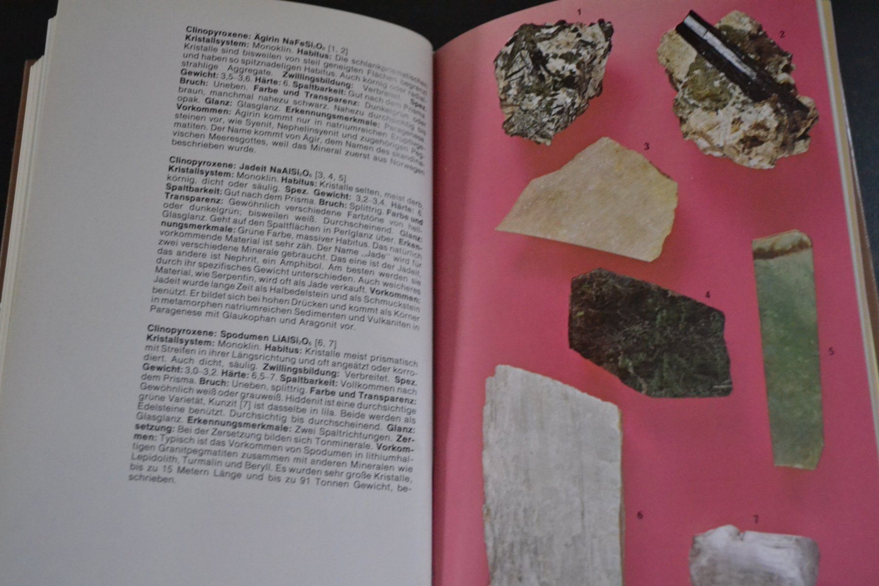 Libri: DER Kosmos Steinführer – Usato da Beinwil am See venduto da kajak55 8