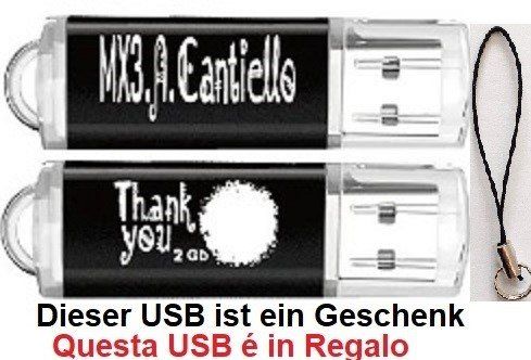 Musikinstrumente: Mandoline / Akkordeon  USB 8Gb + USB Gratis – Neu (gemäss Beschreibung) aus Locarno von Antonio41 1
