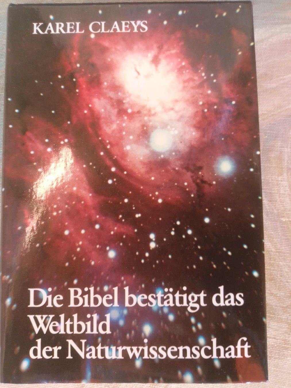 Libri: Die Bibel bestätigt das Weltbild – Usato da Bassersdorf venduto da elm_f9sw