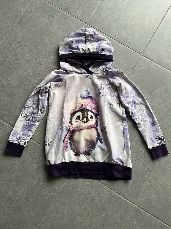 Maglioni & Felpe: Niedliche Pullover mit Kapuze 122/128 – Usato da Erlinsbach SO venduto da SmilingTiki 2