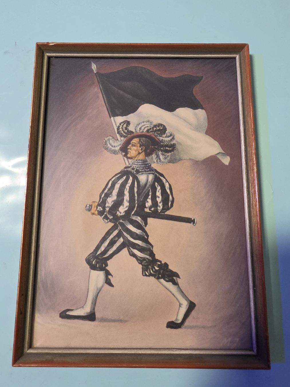 Foto & Immagini: Fahnen/Bannerträger Kt. Freiburg – Usato da Bellach venduto da Vegeta23