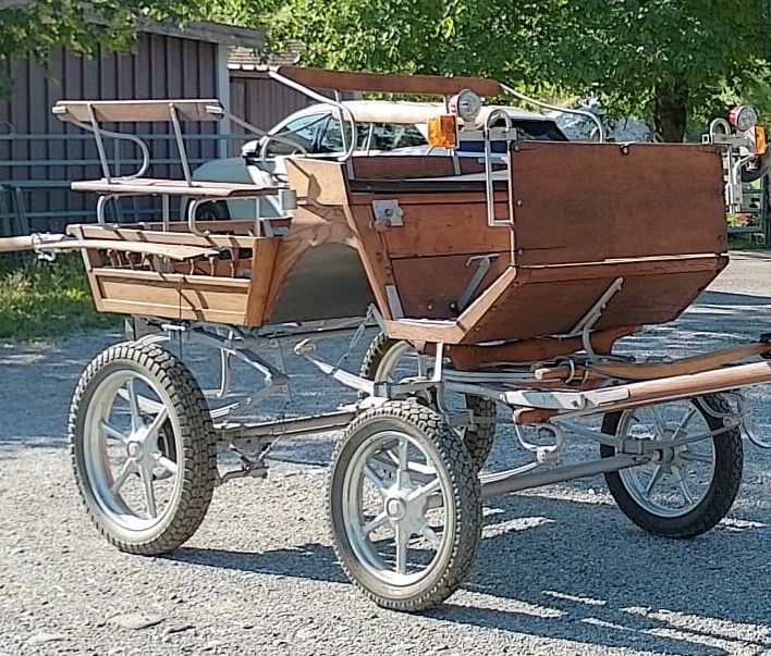 Carrozze: Berner Wägeli, Pferdekutsche – Usato da Burgdorf venduto da RosiVera