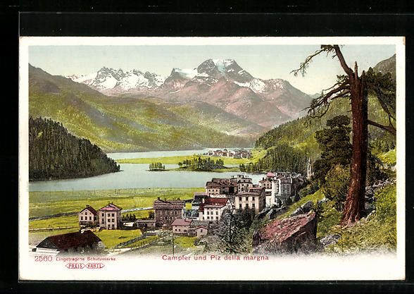 Cartoline postali: Campfer, Panorama und Piz della margna – Usato da Berlin venduto da bartko-reher