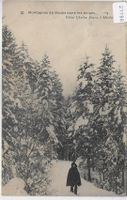 Montagnes du Doubs dans les neiges
