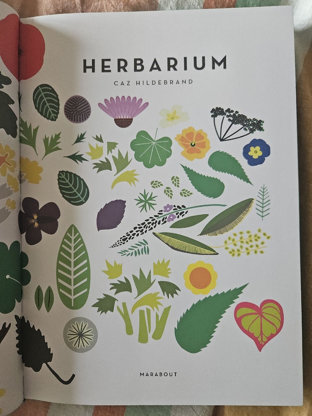 Libri: Herbarium Marabout  – Nuovo e nell'imballaggio originale da Thônex venduto da lacomtessedesfees 2