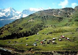 MÜRREN Blumental gegen Schiltgrat