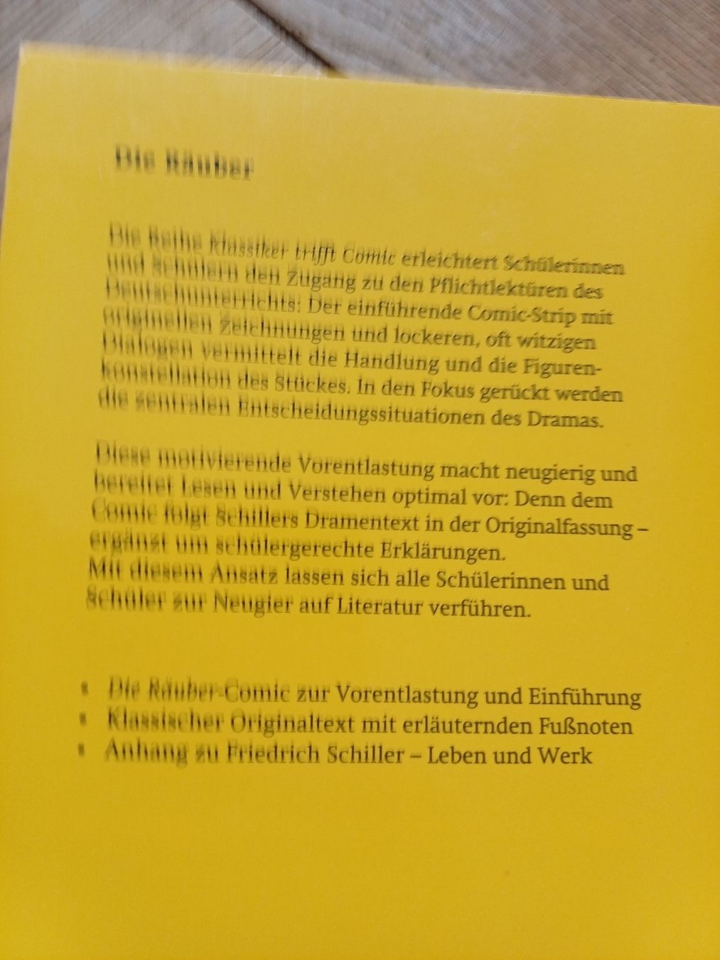Libri: Friedrich Schiller Die Räuber Buch Comic Neuwertig – Usato da Bern venduto da rikivip 1