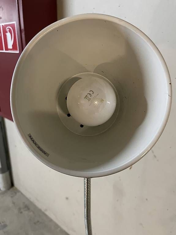 Lampade: Lampe de salon – Usato da Lausanne venduto da Sxbibi 1