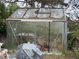 Gewächshaus Glas Aluminium inkl. Zubehör für Garten im Somme