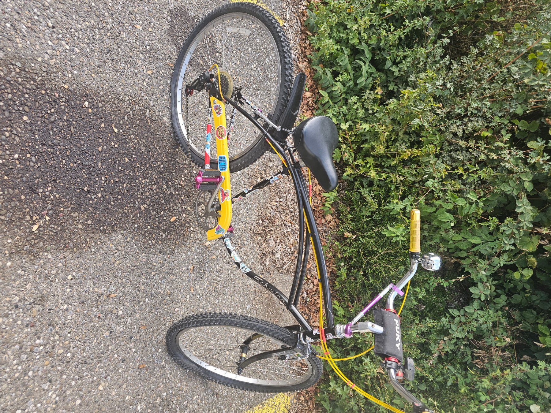 Schwinn Biciclette: city cruiser – Usato da kleindöttingen venduto da Jimi-Hendrix 2