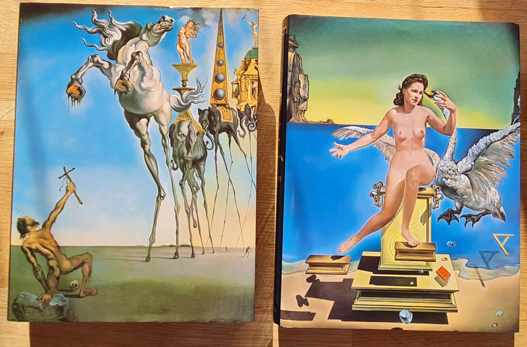 Libri: DALI Das malerische Werk – Nuovo (secondo la descrizione) da Ersigen venduto da Sprossi 2