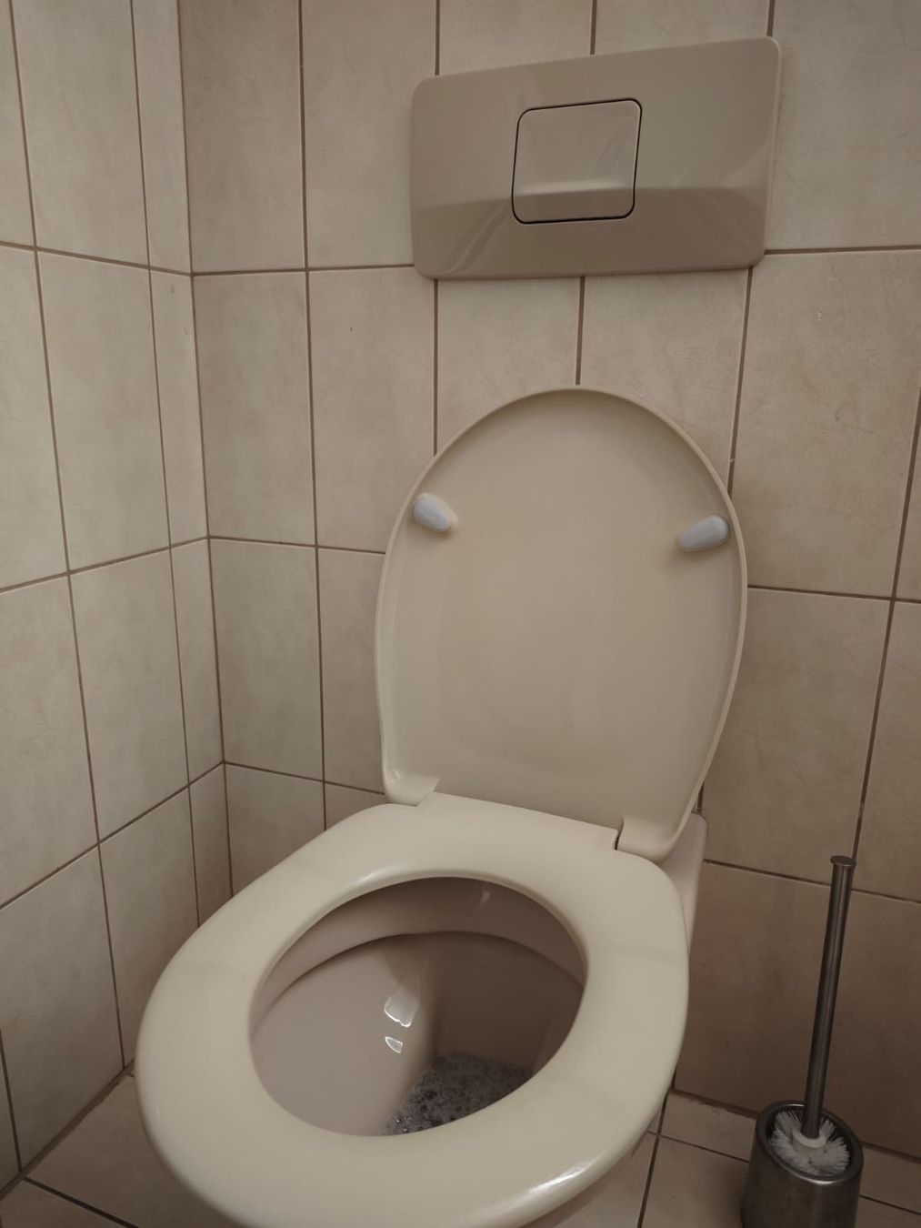 WC: Klo – Usato da Rorschacherberg venduto da Zwergli4
