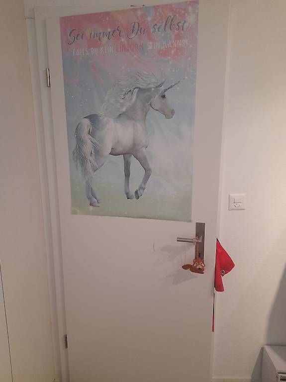 Foto & Immagini: Einhorn Poster – Usato da Thun venduto da jul_y9lm 1