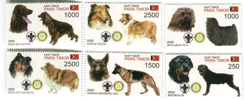 Tutti i francobolli: English Cocker Spaniel, Beagle, Deutsch Kurzhaar. Osttimor – Nuovo e nell'imballaggio originale da Basel venduto da Butsch5