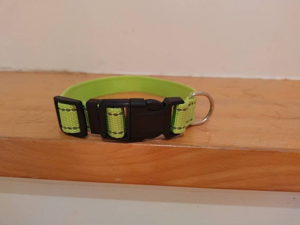 Guinzagli & Collari: Reflektierendes Hunde Halsband  – Usato da Hettlingen venduto da Sylvia24