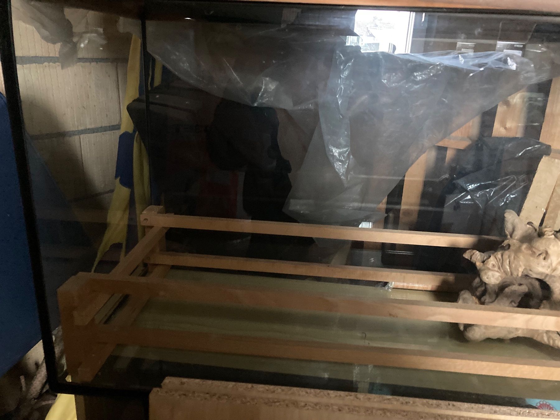 Terrario: Aquarium Terrarium – Usato da Arbon venduto da Barth05 1
