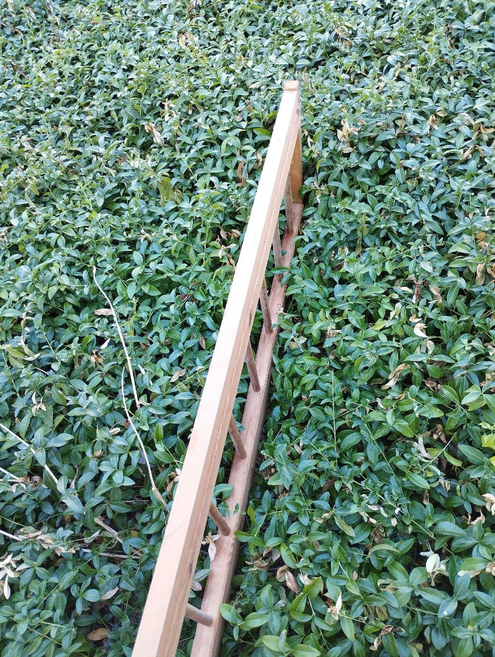 Echelles: Holzleiter Leiter natur – D'occasion à Ostermundigen par Dinge1 3