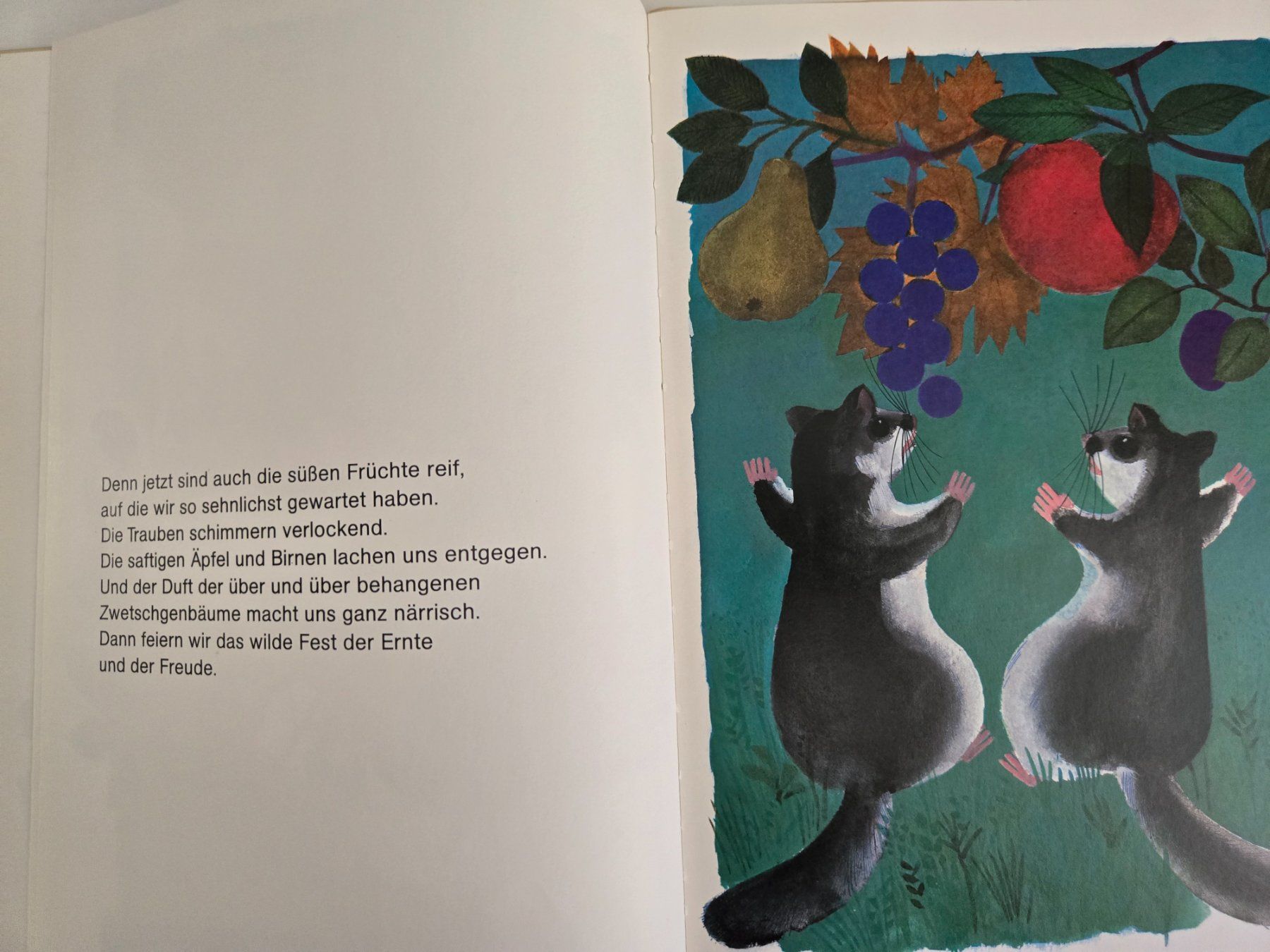 Livres: Kinderbuch/Bilderbuch: Barbara und der Siebenschläfer – D'occasion à Zürich par Mar_Mic 1