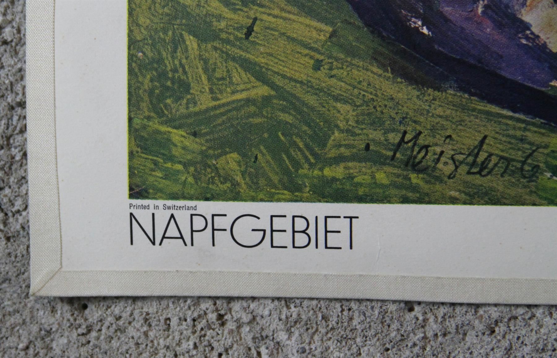 Poster & Bilder: Schulwandbild "Napfgebiet" Willy Meister – Gebraucht aus Birrwil von brandschatz_birrwil 3