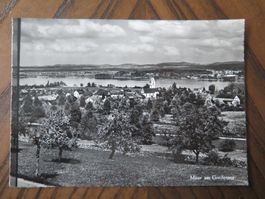 MAUR AM GREIFENSEE