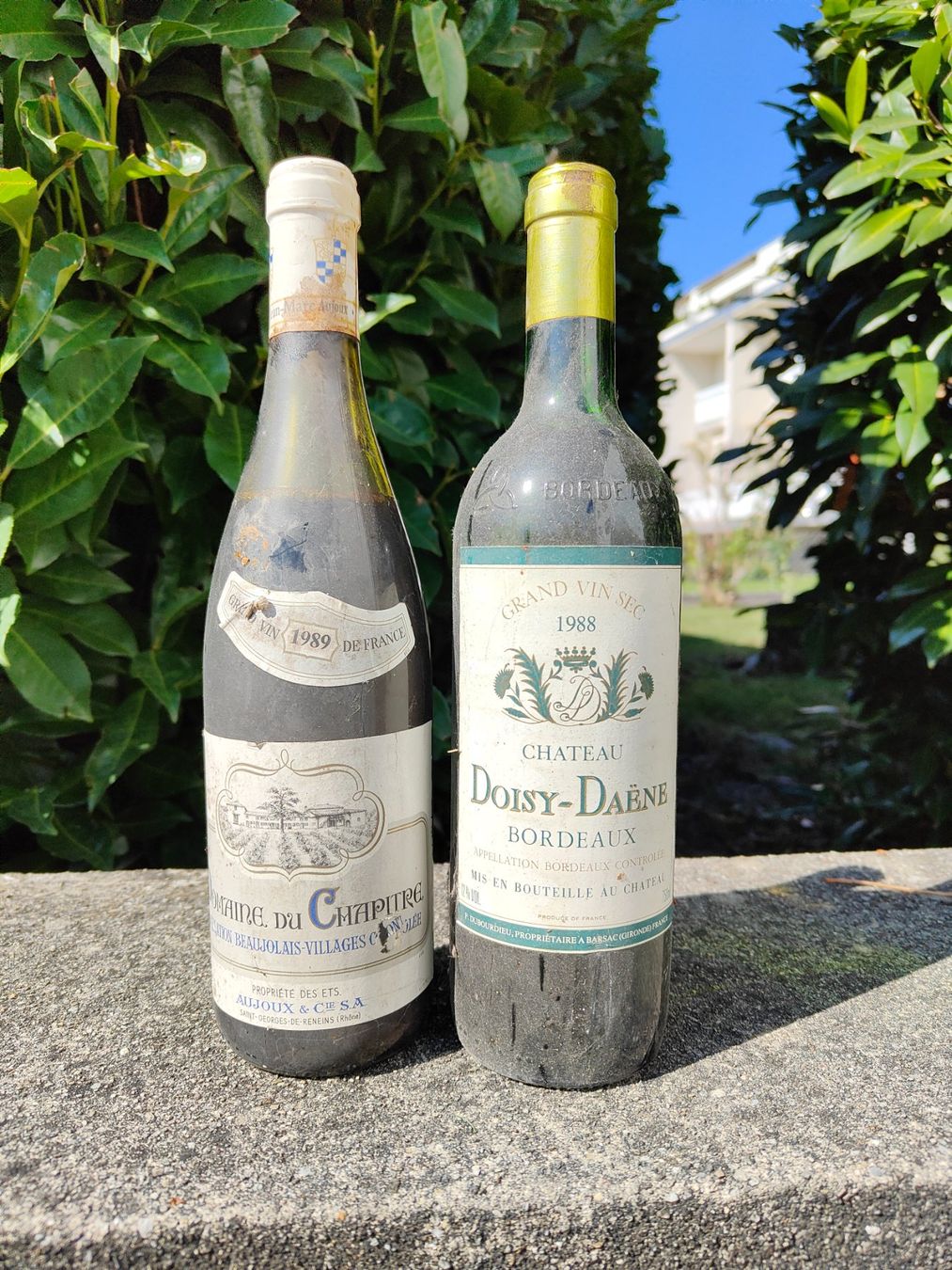 Vino: Alte Weine ab 1955 – Nuovo (secondo la descrizione) da Nidau venduto da nani111 1