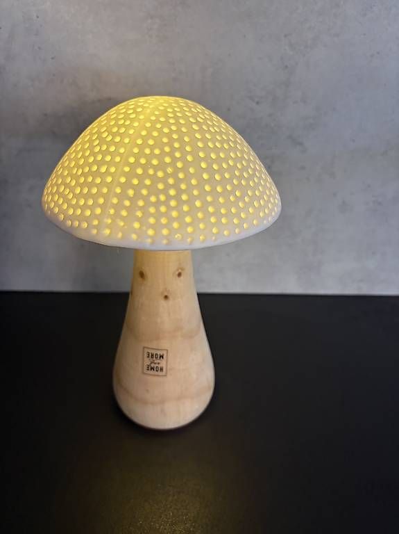 Alle Dekorationen: Deko Pilz mit Licht – Gebraucht aus Thürnen von Yaroc 2
