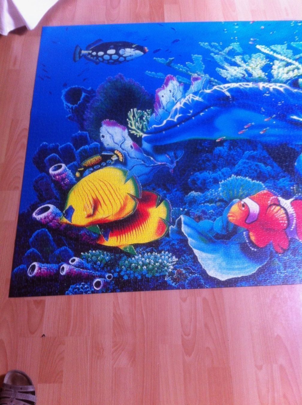 Clementoni Puzzle: Clementoni Puzzle – Usato da Widnau venduto da stiinli 1