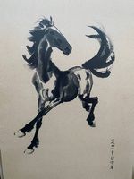 Bild Original Pferd 
