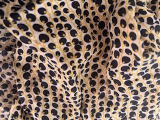 Joop Camicette: Tolle JOOP! Bluse – Usato da Zürich venduto da CoCos_Closet 4
