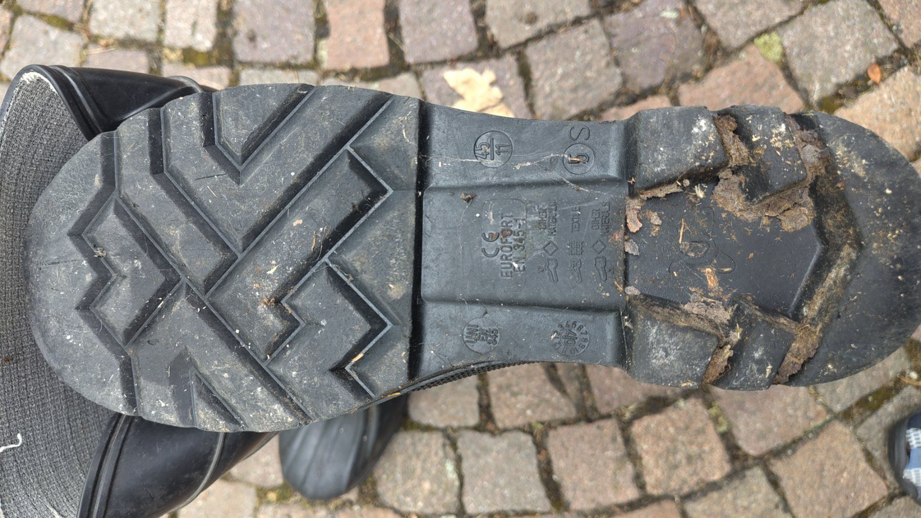 Herrenschuhe: Gummistiefel – Gebraucht aus Zell LU von gas_q8gc 2