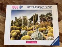 Puzzle 1000 Teile Kaktus-Landschaft