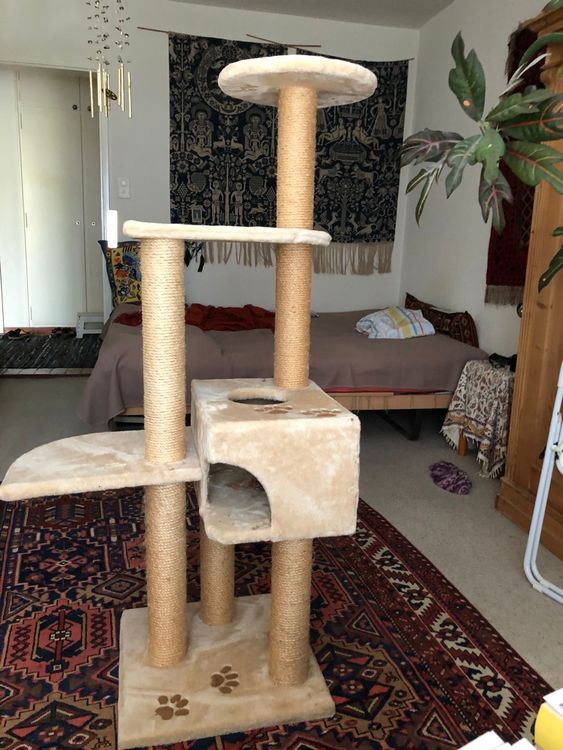 Kratzbaum fr Katzen, 140 cm hoch, neuwertig und ungebraucht (Neu (gemss  Beschreibung)) in Wila fr CHF 100  nur Abholung auf Ricardo kaufen