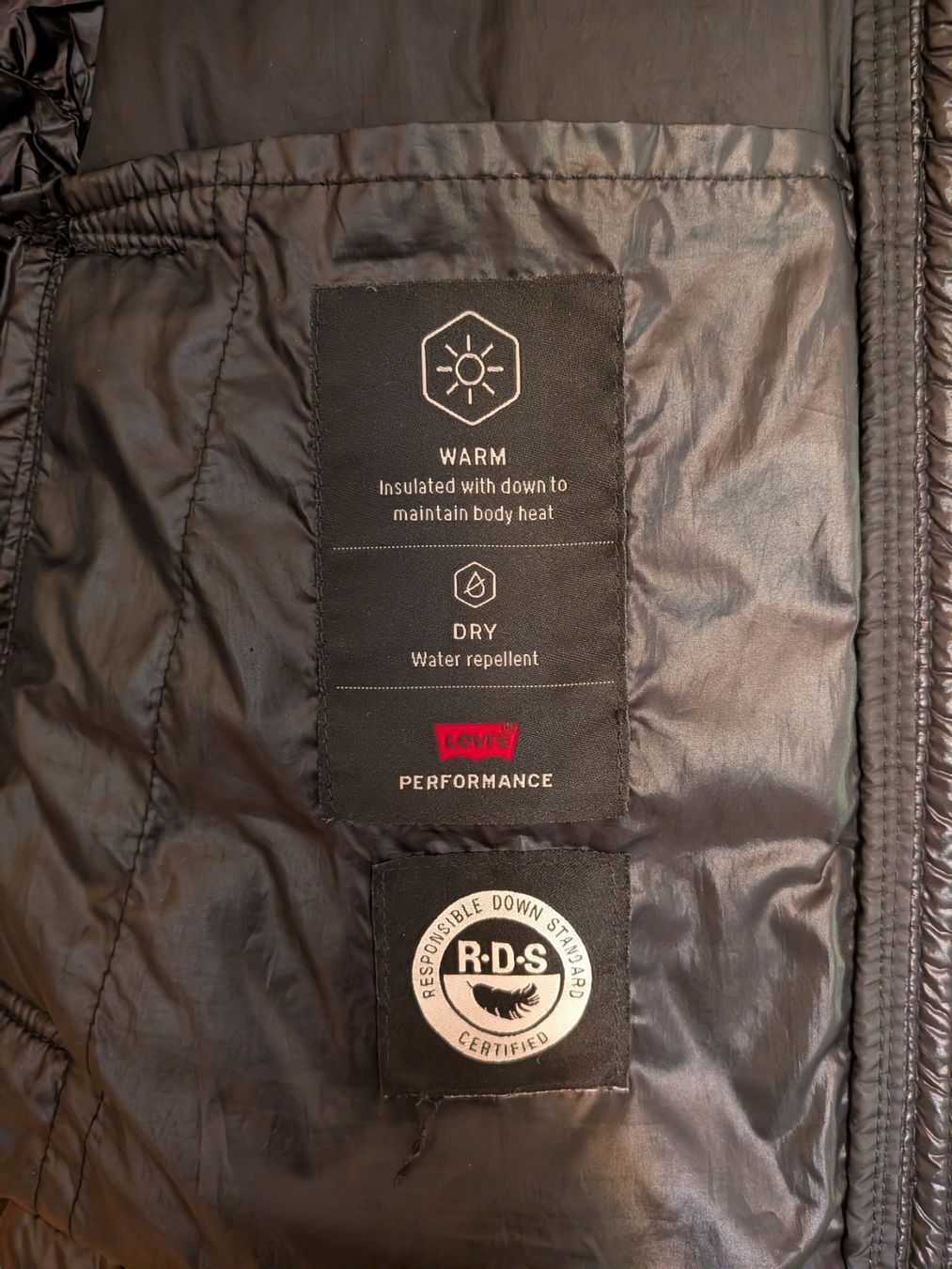 Levi's Vestes: Steppjacke Levi's schwarz – D'occasion à Winterthur par sha_r2k2 2