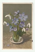 Postkarte Frühlingsblumen Leberblümchen Schneeglöckchen 1944