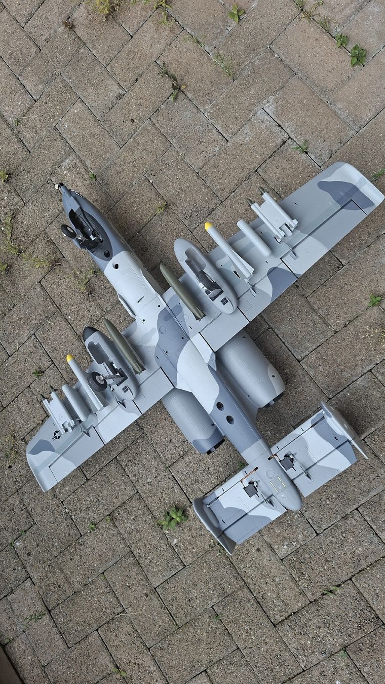 E-Flite Modellismo RC: E-flite A-10 Thunderbolt II 64mm EDF Jet BNF NEU – Nuovo (secondo la descrizione) da Egliswil venduto da markus1304 1