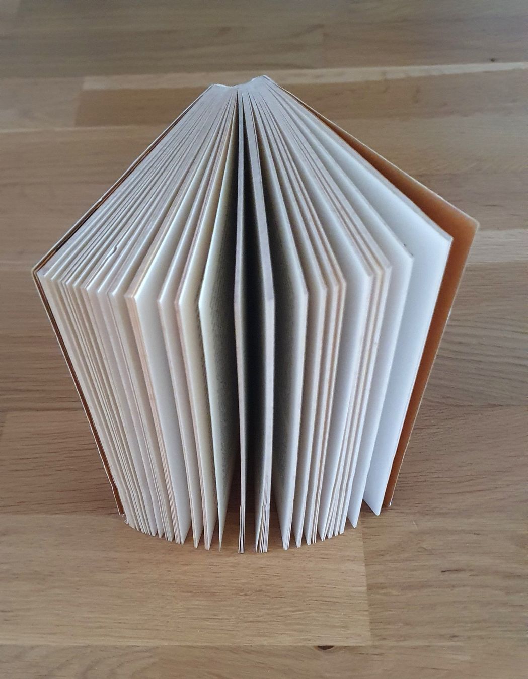 Libri: Moravagine Der Moloch / Blaise Cendrars – Usato da Emmenbrücke venduto da Re6020 2