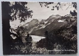 Morteratschgletscher mit Berninagruppe