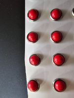 Koralle rot Ohrstecker