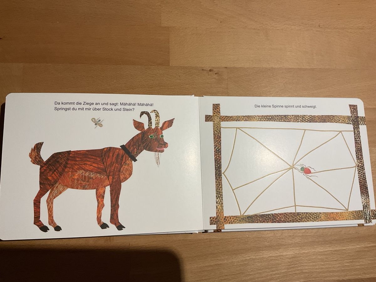 Bücher: Die kleine Spinne spinnt und schweigt Eric Carle – Neu (gemäss Beschreibung) aus Wil ZH von RiccardaWegmann 6
