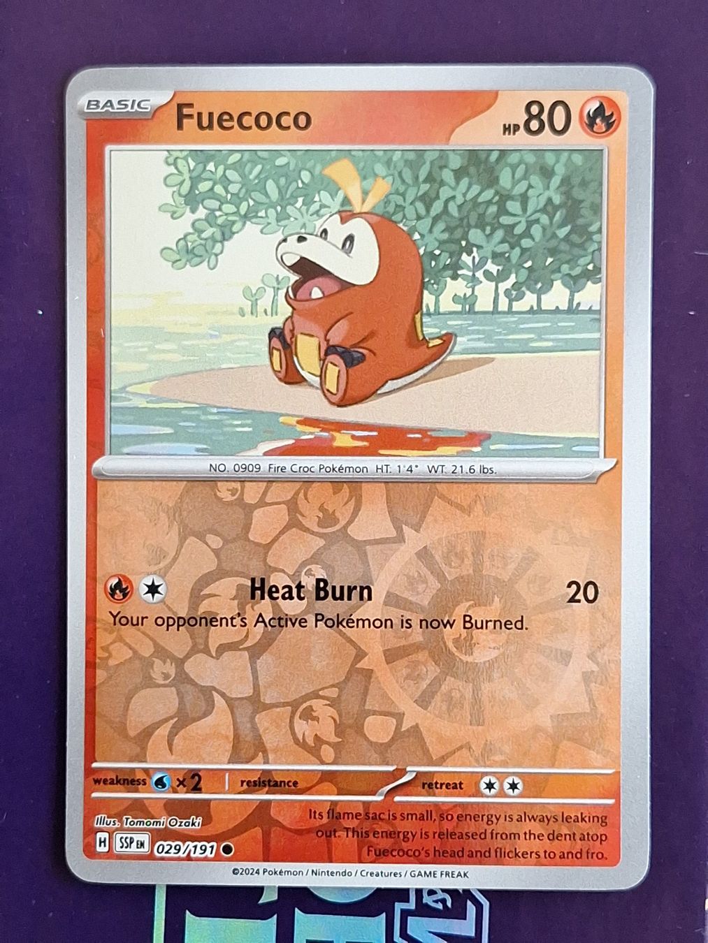 Pokémon Carte collezionabili: Fuecoco - Reverse Holo - Pokemon Surging Sparks – Usato da Altstätten SG venduto da GGsGameshop
