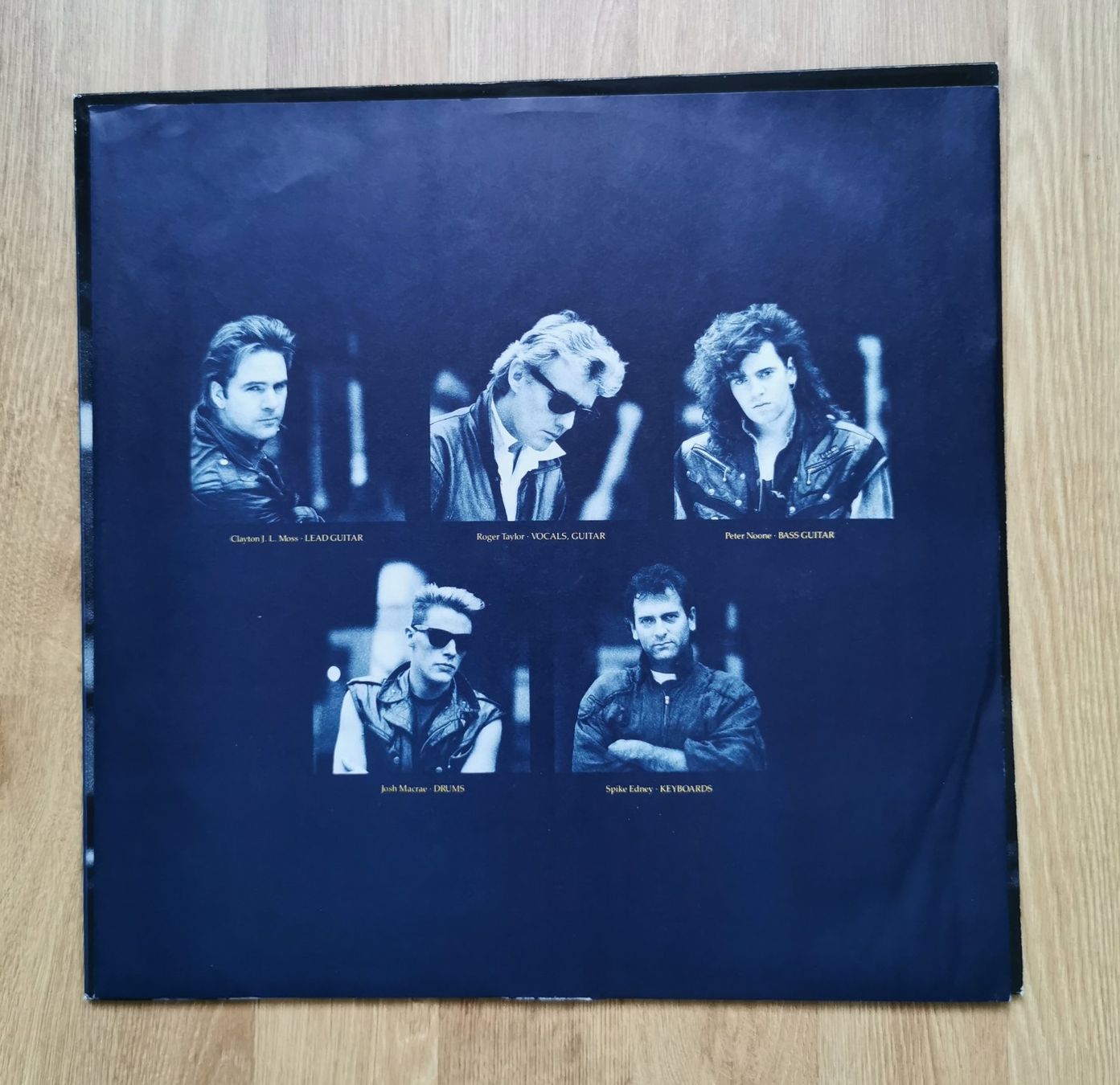 Dischi in vinile: The Cross  -  Shove It – Nuovo (secondo la descrizione) da Birsfelden venduto da dsc_f8gx 2
