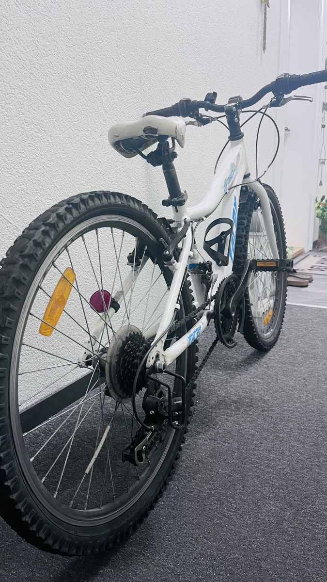 Velos: Racer Python Kinder Velo  – Gebraucht aus Hilterfingen von mus_85w9 1