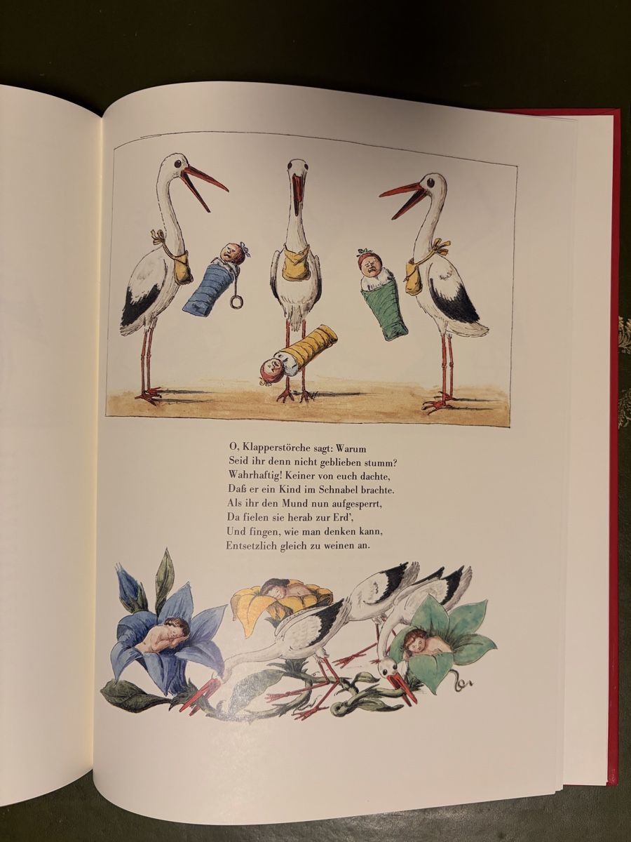 Bücher: Heinrich Hoffmann: Struwwelpeter-Geschichten, 2 Bände! – Gebraucht aus Zürich von mimikiki100 5
