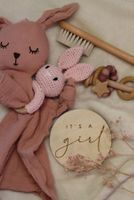 Mini Basket - Rosa