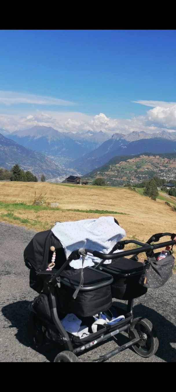 Tfk Carrozzine: Zwillingskinderwagen TFK – Usato da Salgesch venduto da nimo90 1