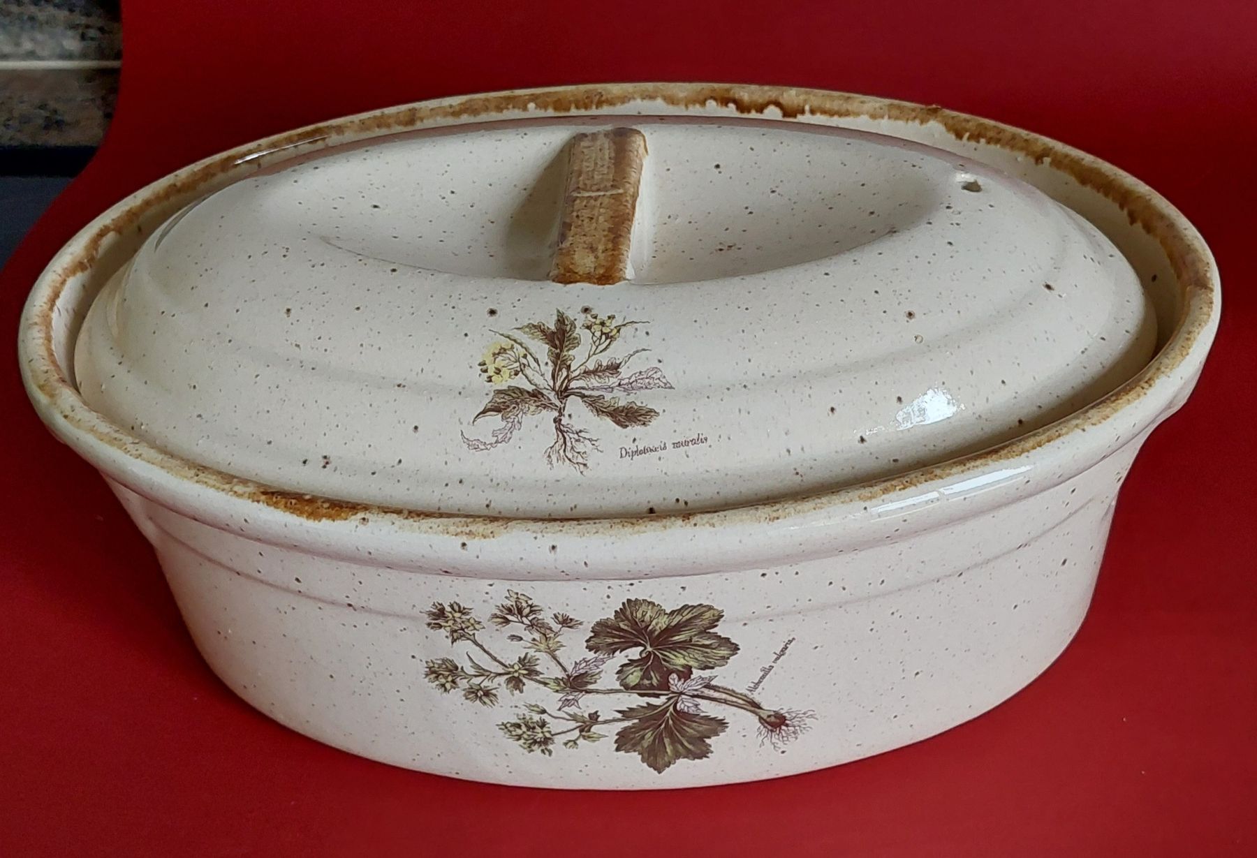 Elettrodomestici da cucina: Auflaufform mit Pflanzen bemalt. Mit Deckel. – Nuovo (secondo la descrizione) da Zizers venduto da Pinot55 1