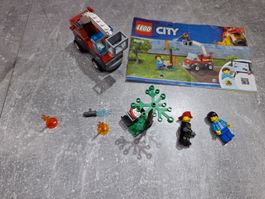 Lego 60212 Feuerwehr beim Grillfest